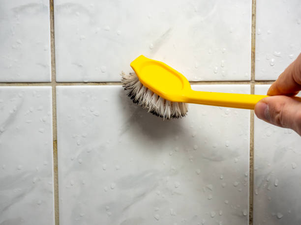 Best Attic Mold Removal  in Redland, AL