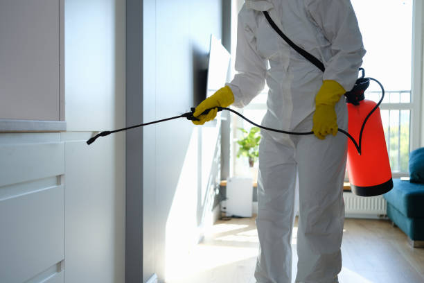 Best Commercial Mold Removal  in Redland, AL