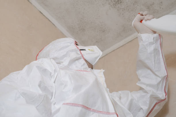 Best Office Mold Removal Services  in Redland, AL